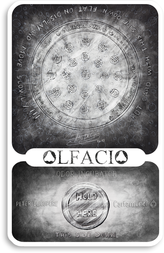 s-olfacio-backside
