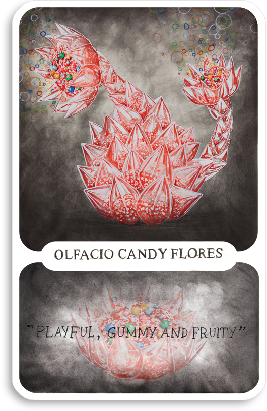 s-olfacio-candy-flores