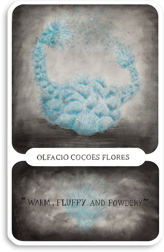 s-olfacio-cocoes-flores
