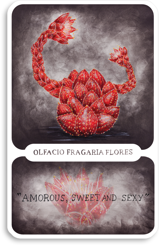 s-olfacio-fragaria-flores