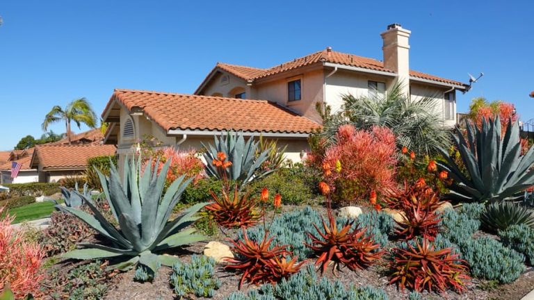 21 Best Desert Landscape Ideas in 2020