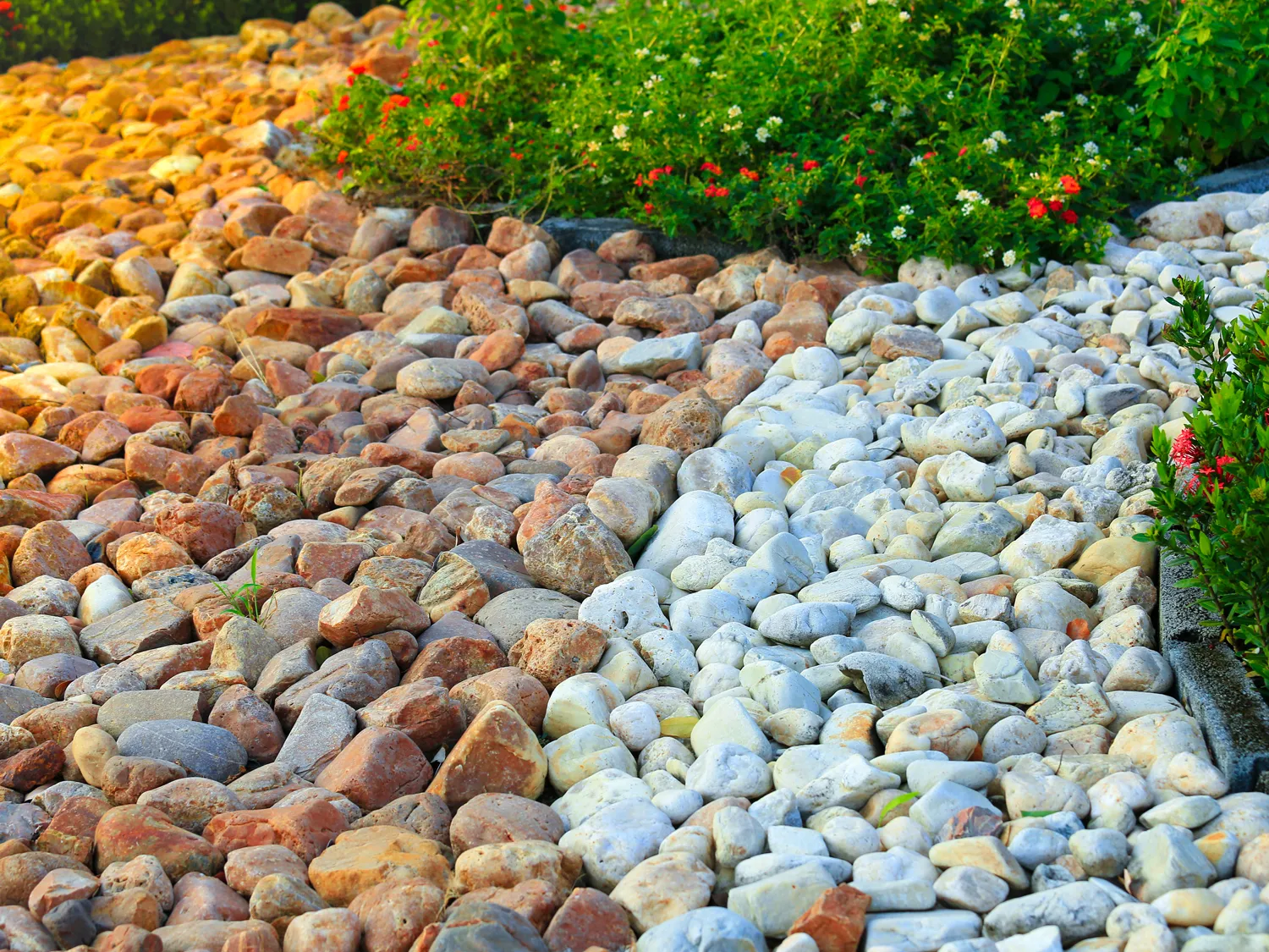 A Contrast of Stones