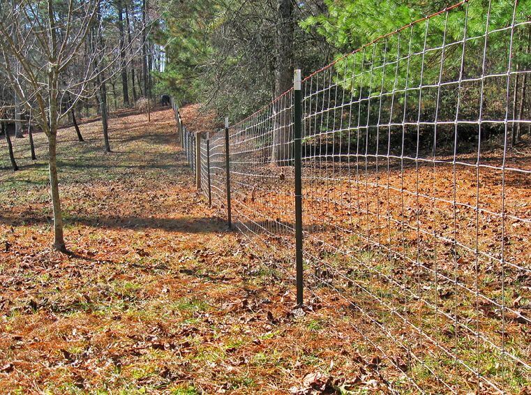 Post Goat Fence