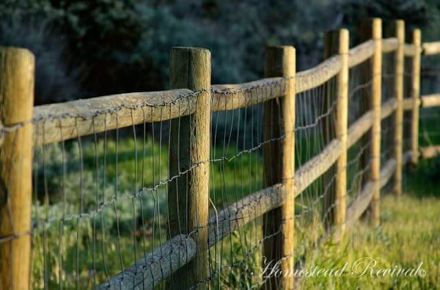 Rustic Wood Goat Fence