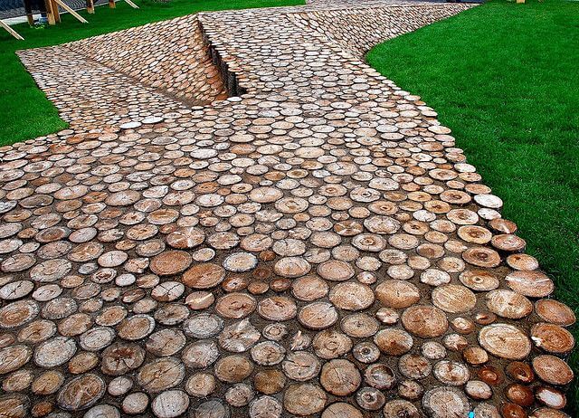 Tree Stump Pathway