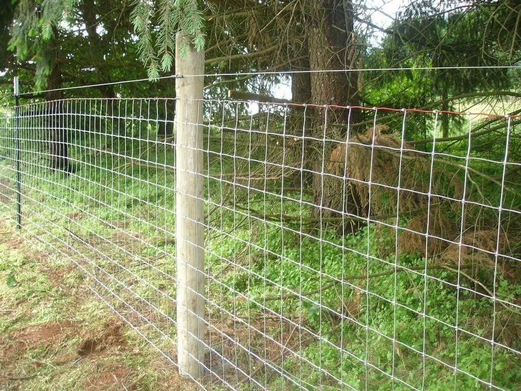 Wire Mesh Goat Fence