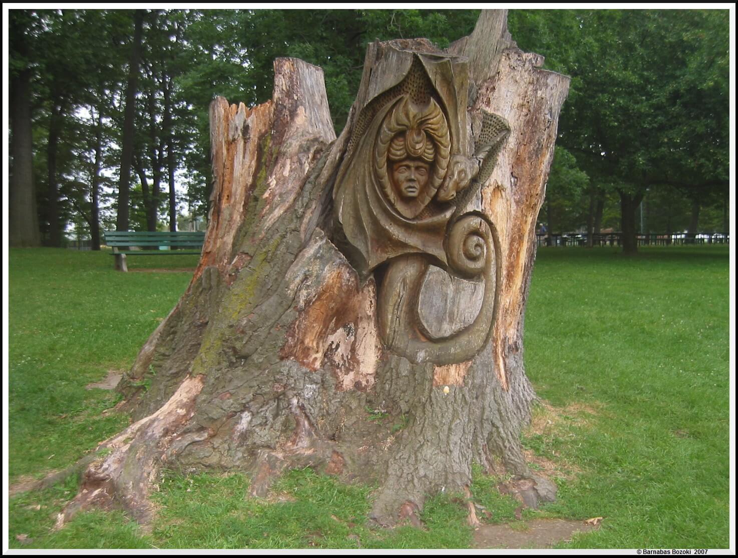Carved Tree Stump