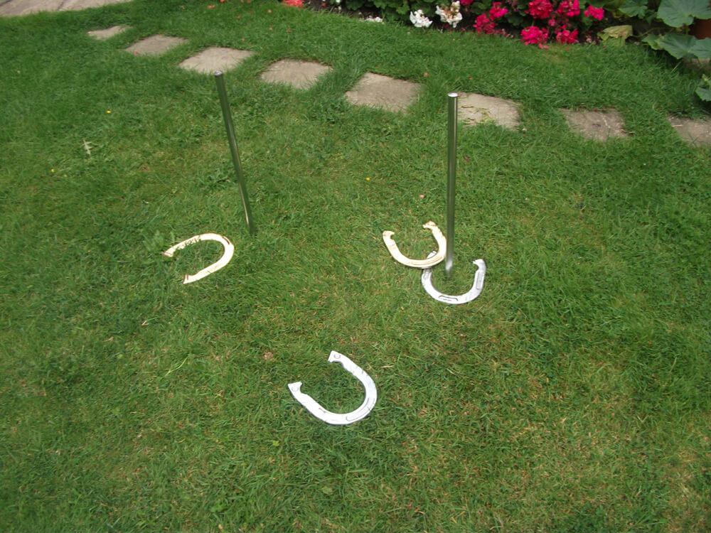 Horseshoe Throw Game