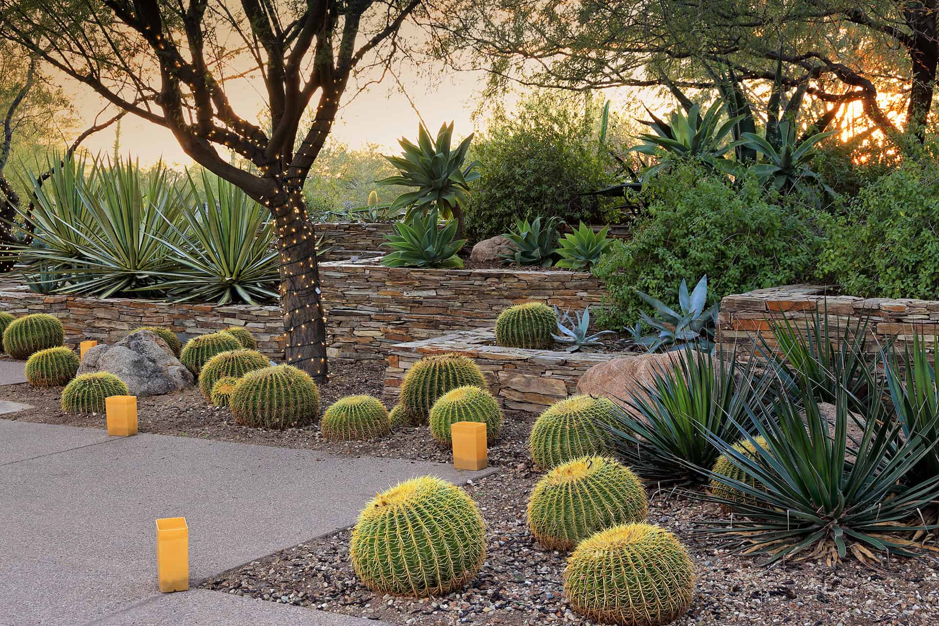 Little Desert-Propelled Rock Nursery