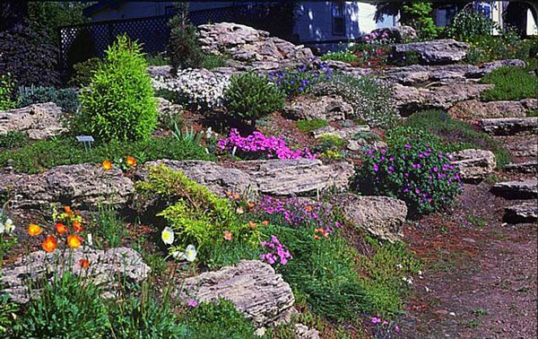 Rock Garden Terraces