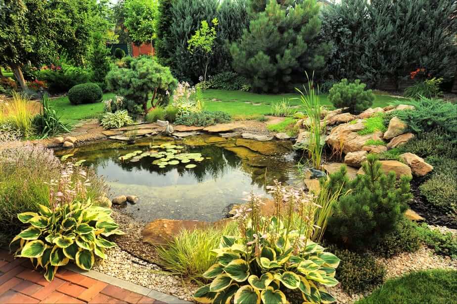 A Peaceful Pond