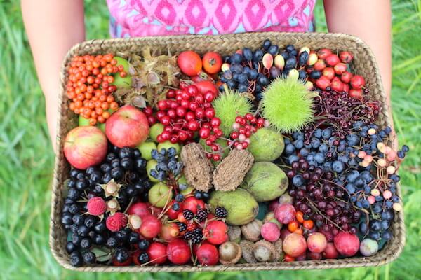 23 Types of Berries: List of Berries with Their Picture and Name 