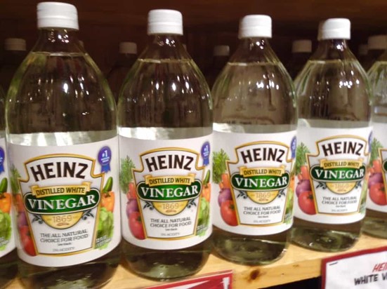Can Vinegar Help to Keep Bees Away