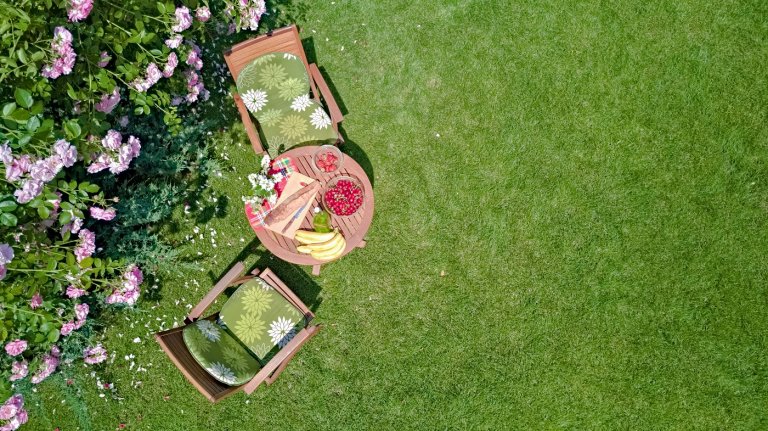 Ironite for Lawns Secret Ingredient to make your Lawn Green
