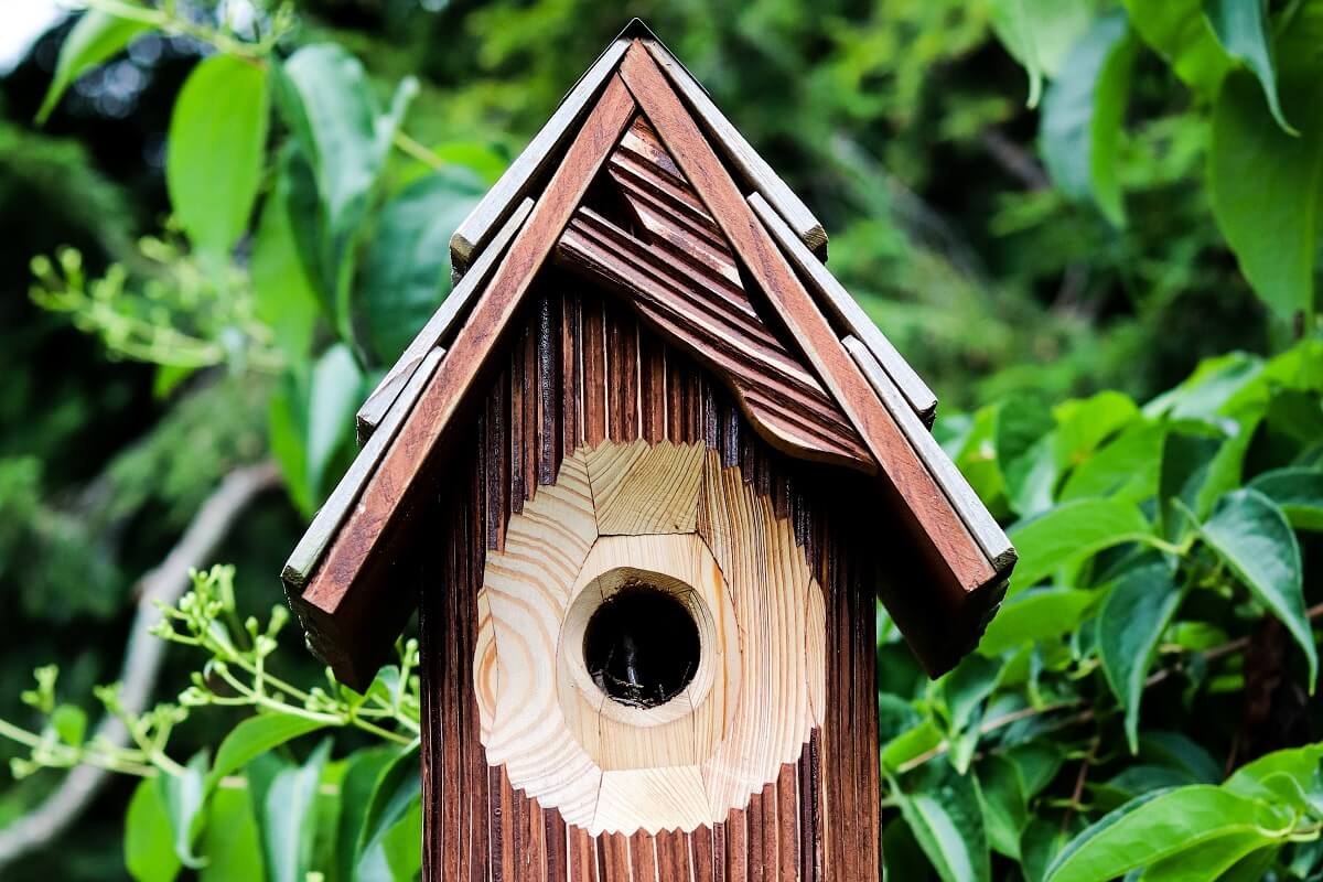 Single Entrance Bird House