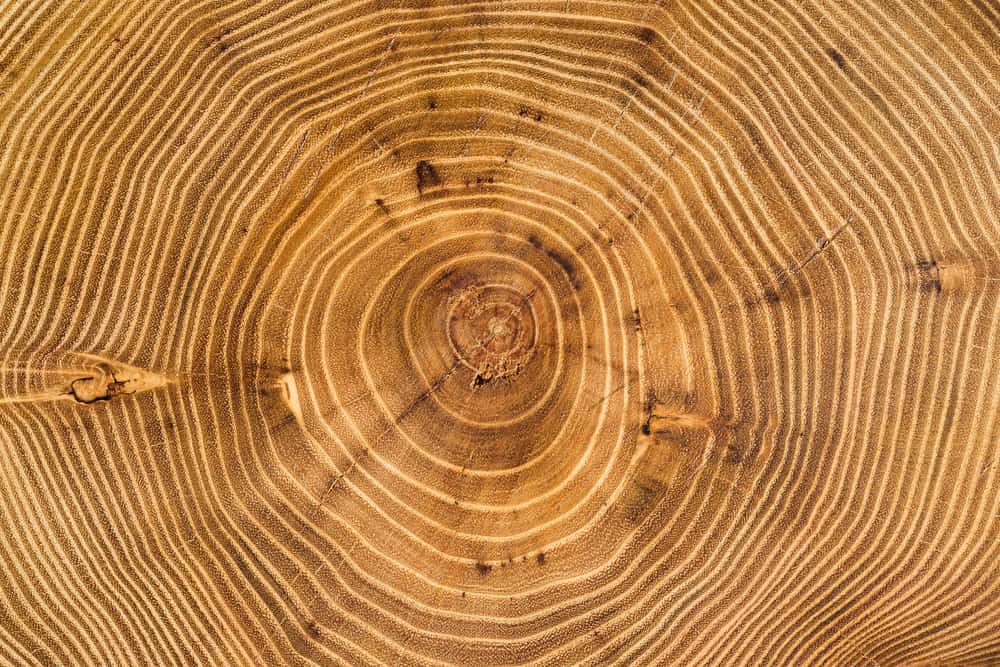 Acacia Wood Has Irregular Grain Structures