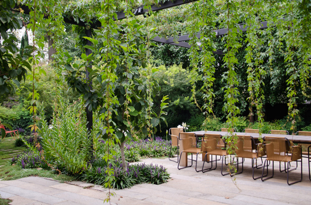 An Arbor with Curtain Like Trails