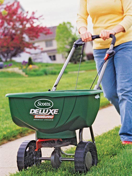 Cover the Borders First