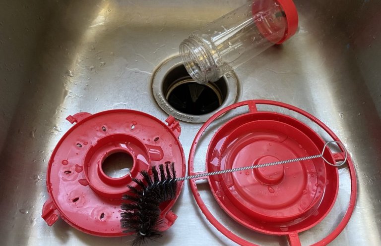 How to Clean a Hummingbird Feeder