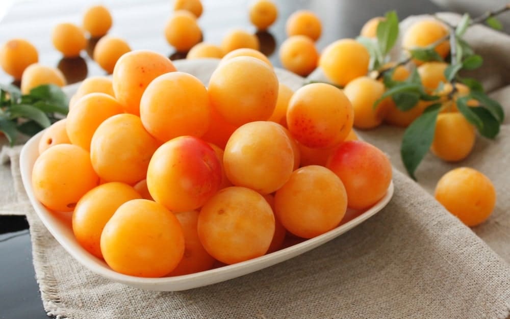 Mirabelle Plums