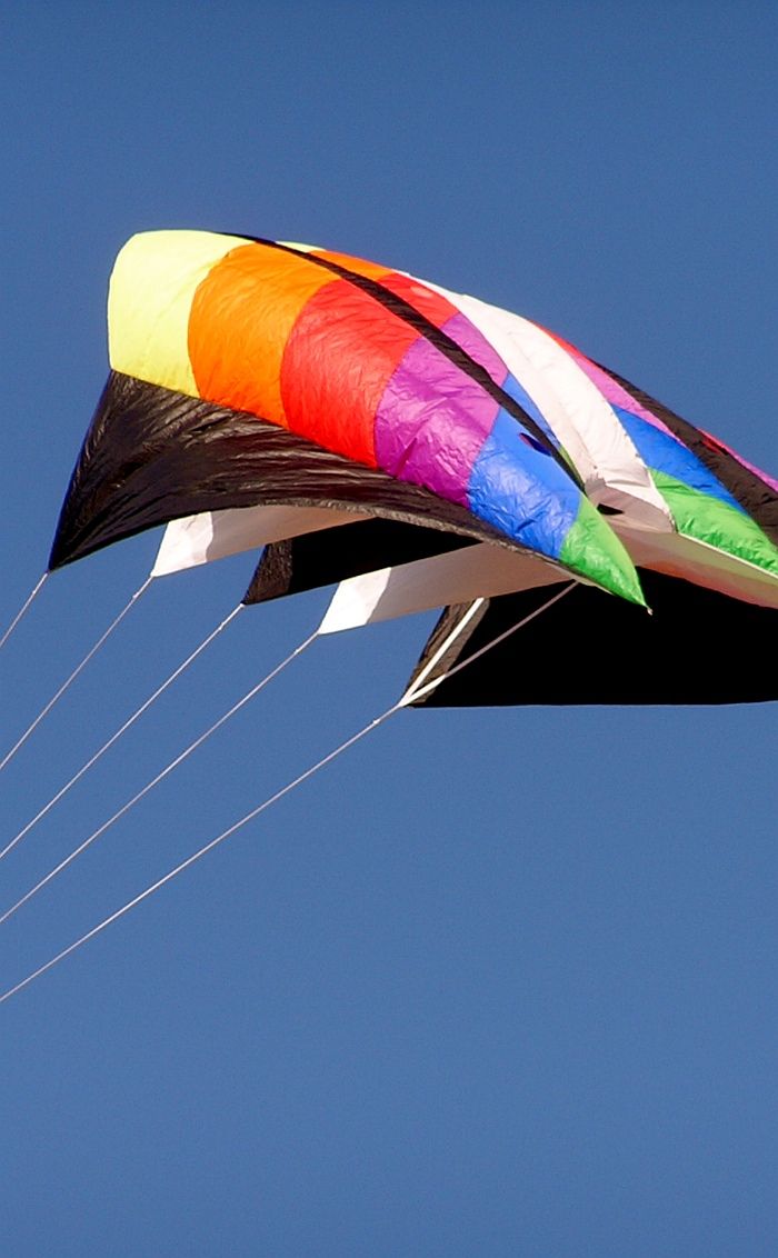 8 Types of Kites and How to Fly Them EatHappyProject