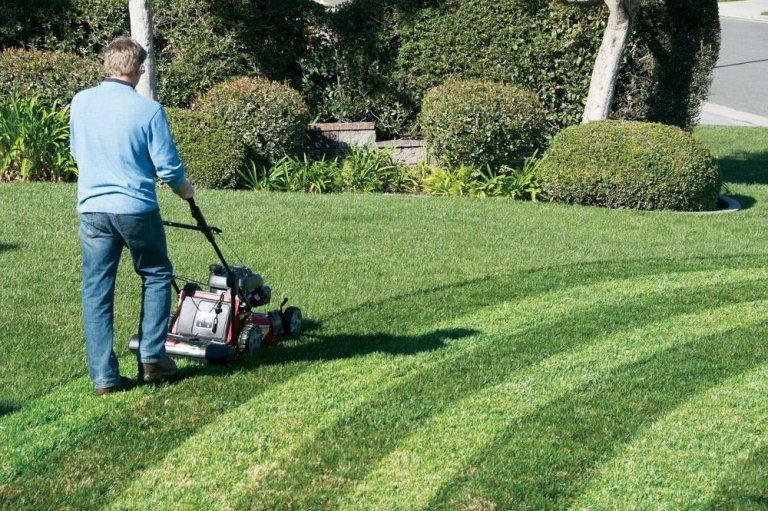 Striping Kit for Lawn Mower
