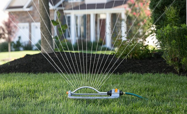 What is the Best Time to Water Grass Seed