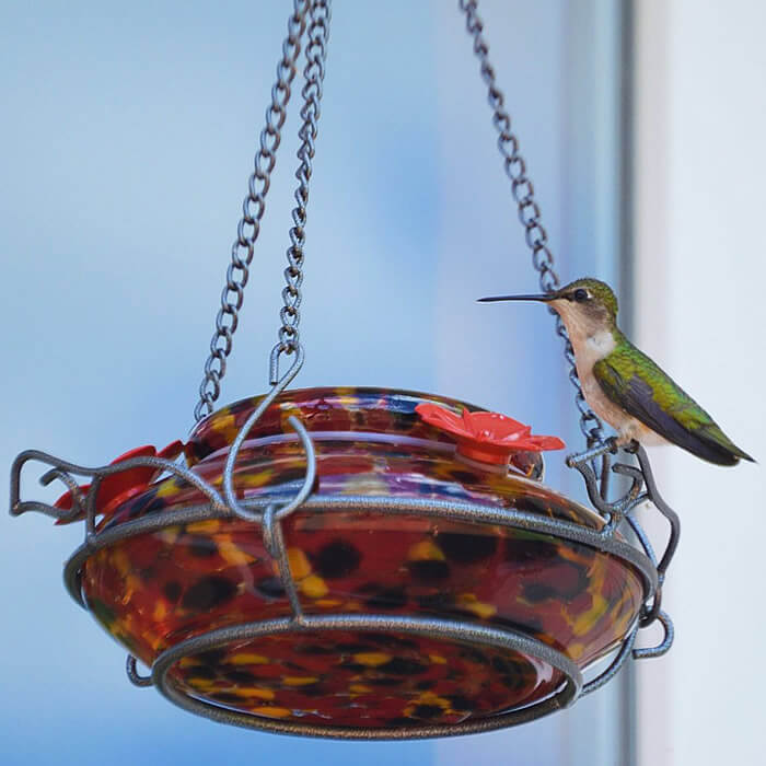 top fill hummingbird feeders
