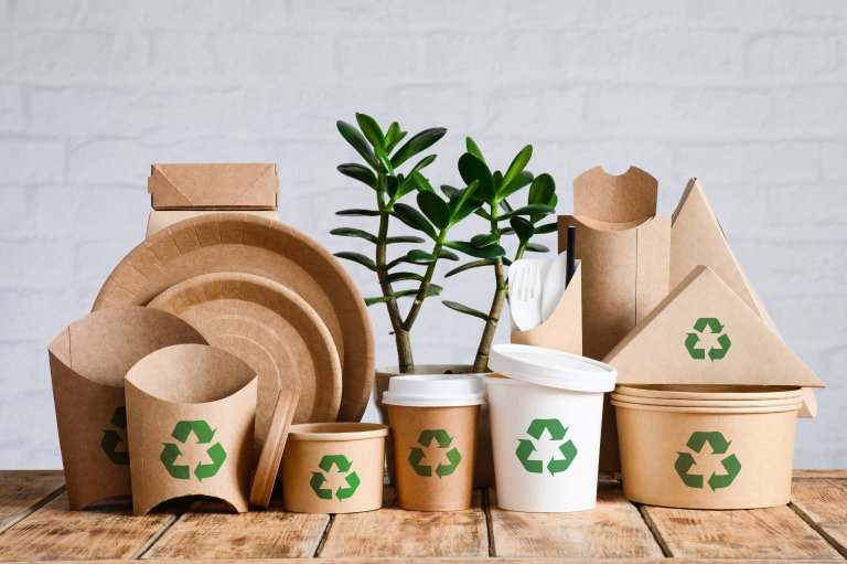 Indoor green plant and eco-friendly paper tableware with recycli