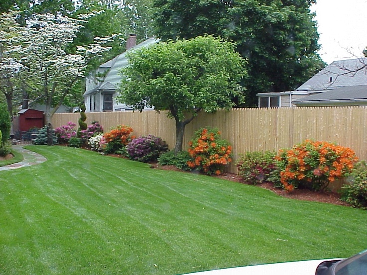  A backyard with a wooden fence and colorful flowers.