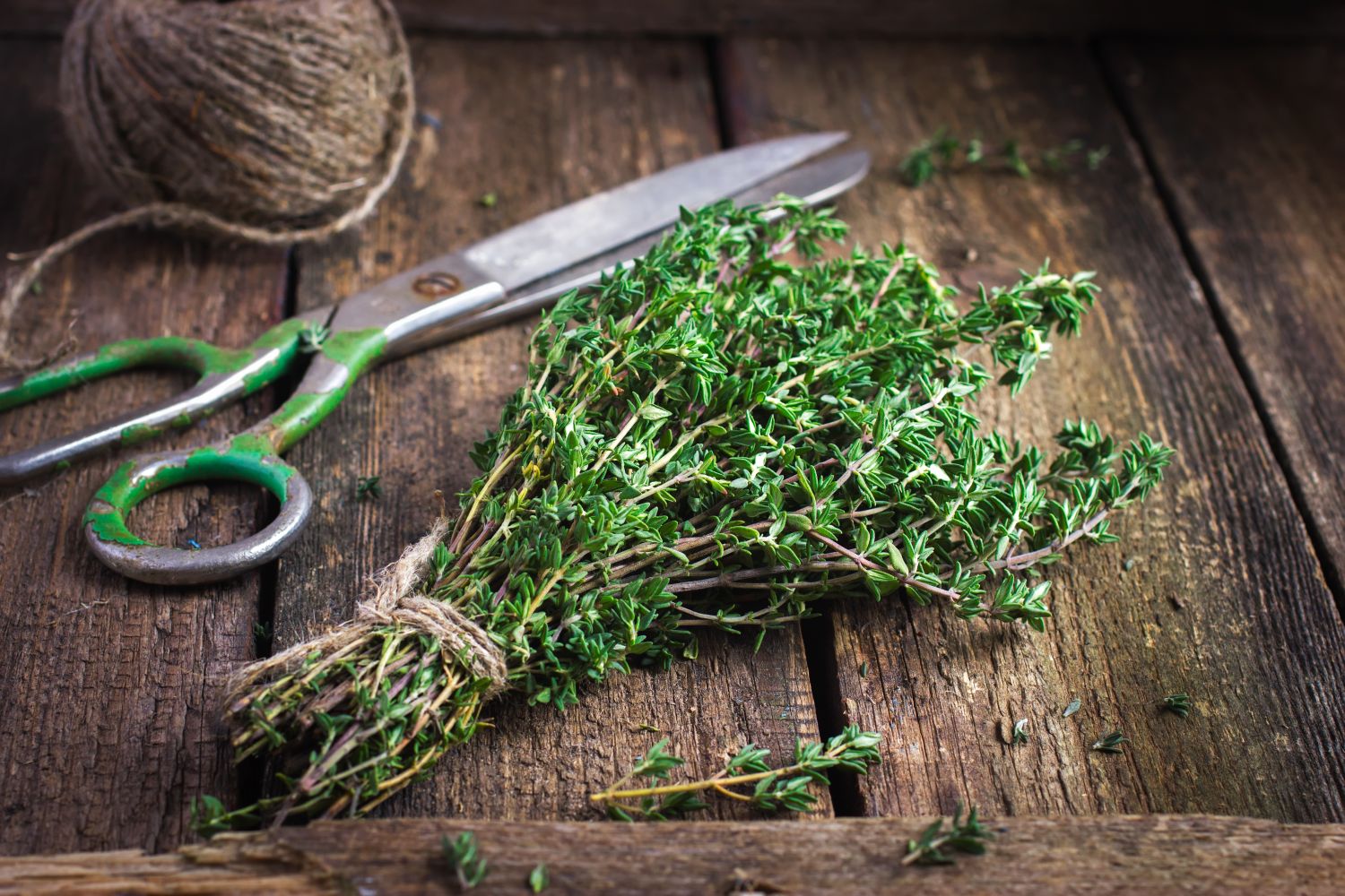 Fresh thyme on a wooden table