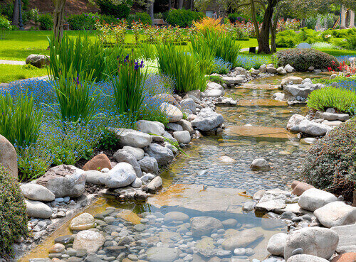 Dry Creek River Bed Idea