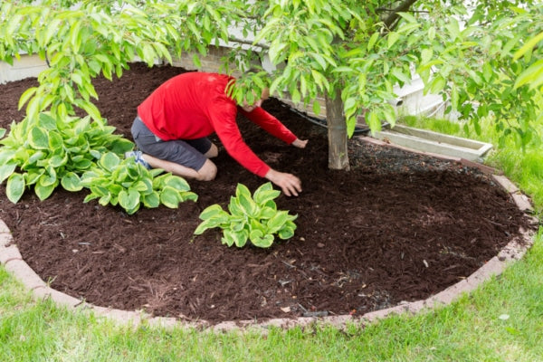 Preparing the Soil