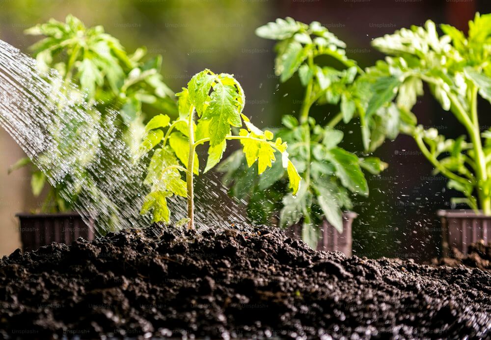 Damaged Soil Condition