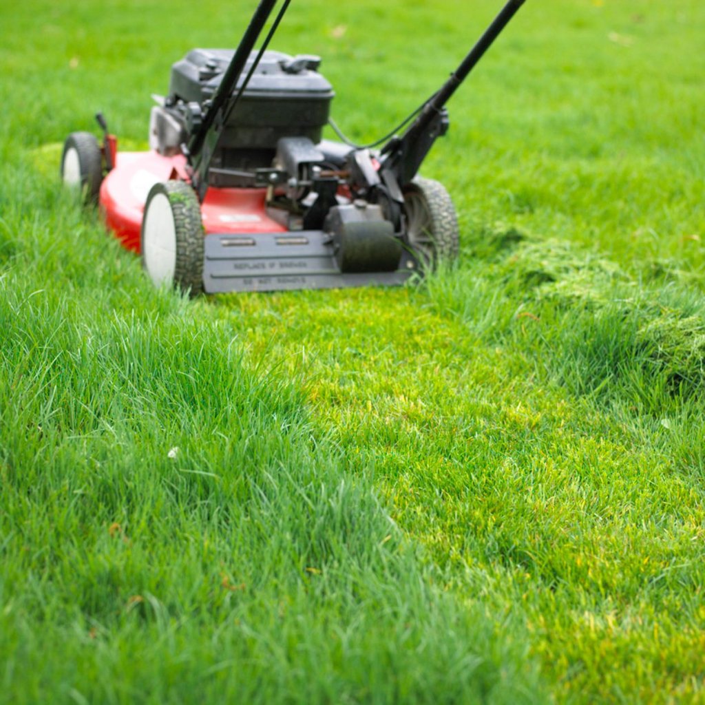 Clogs the Mower