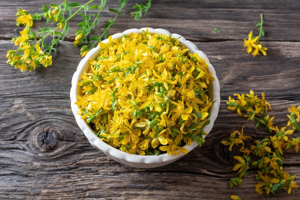 Common Spices with Yellow Flowers