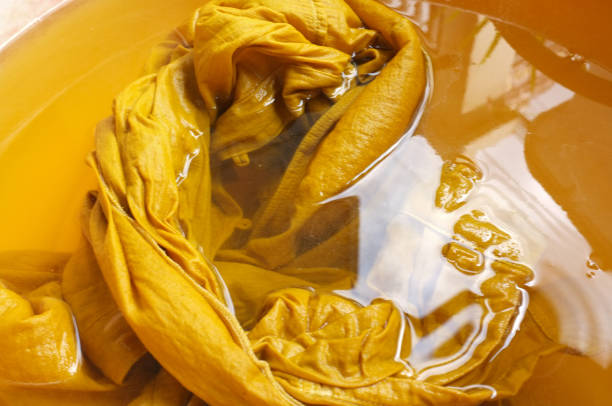 raw material for yewllow color natural dye